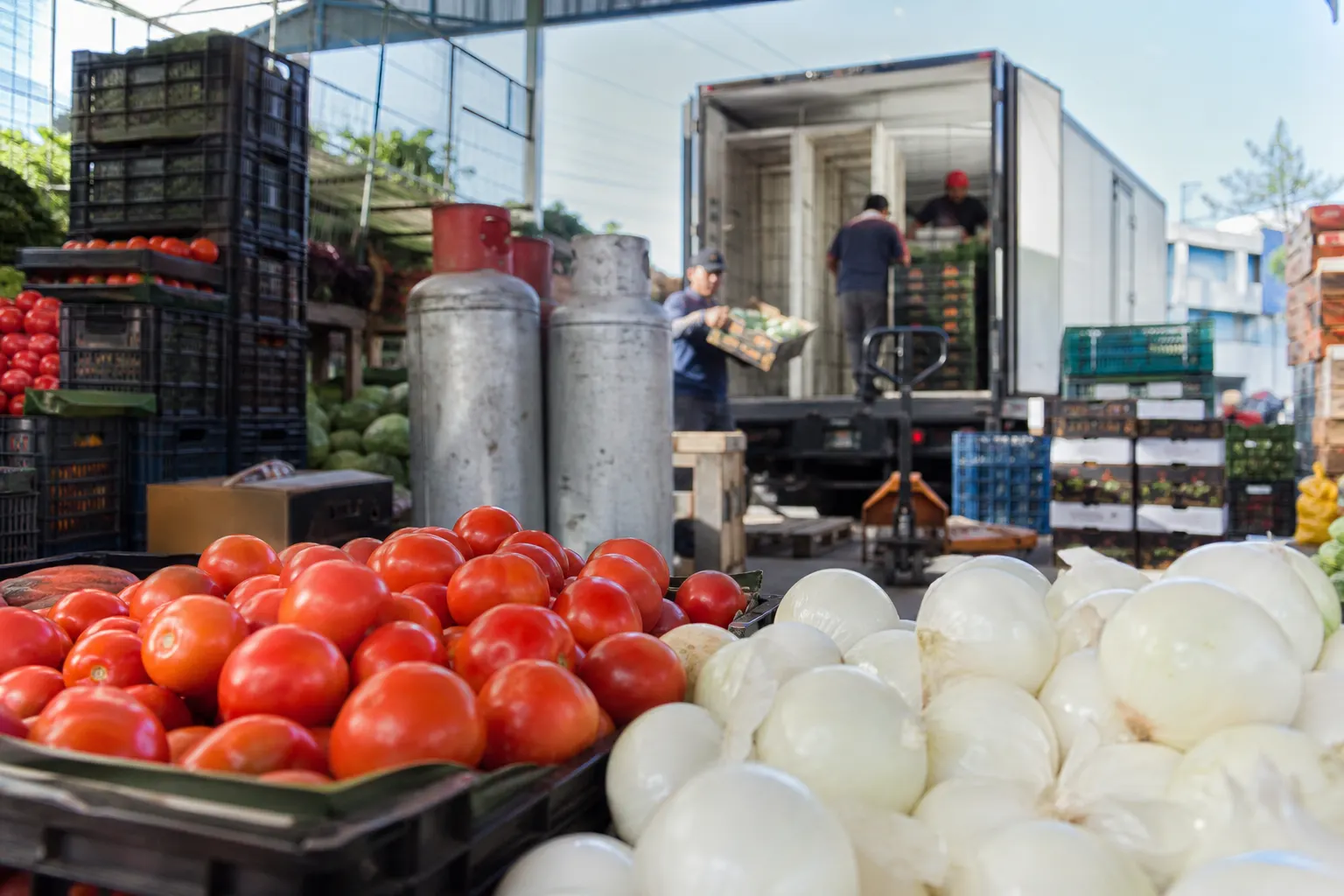 Jitomates, cebollas y gas LP, productos que presionaron la inflación en México durante septiembre de 2026
